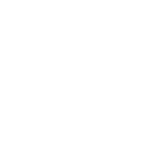 Cocktail Skewers 