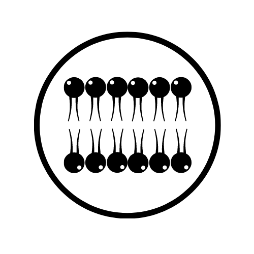 Lipid control